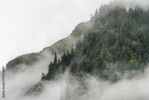 smoky moumtain with smoke, fog and haze on top of the mountain with pine tree photo