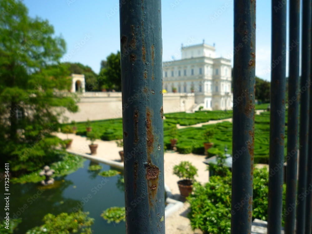 Fototapeta premium フェンスからの眺め、庭園