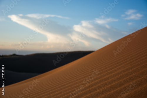 Desert Mendoza