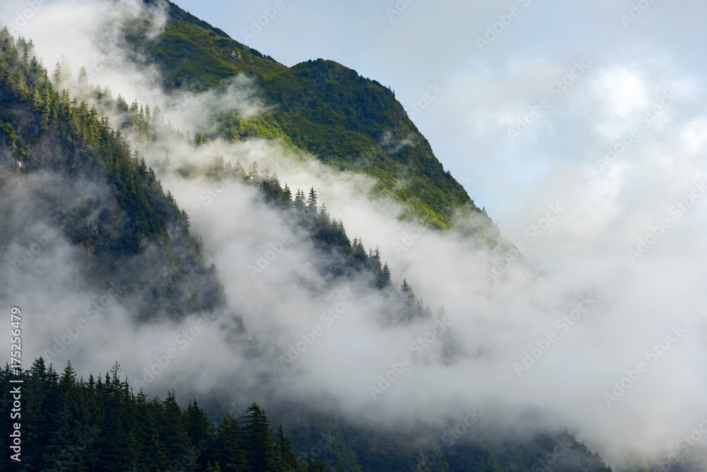 Fog rolling over mountain top forest