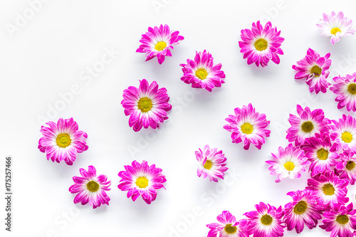 Floral pattern with pink flowers on white background top view