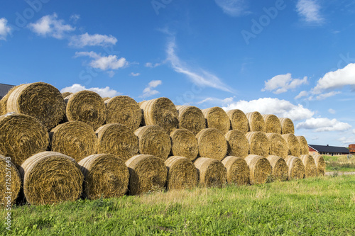 Many hale bale in a row