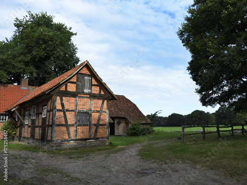 Wiese hinter dem Bauernhaus mit Scheuen und Stall