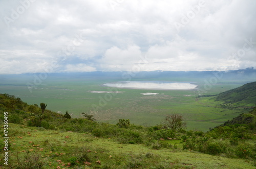 The African landscape. Ngorongoro  Tanzania