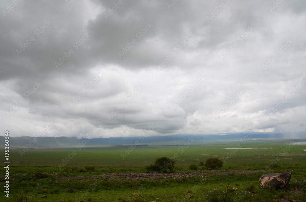 The African landscape. Ngorongoro, Tanzania The African landscape. Ngorongoro, Tanzania