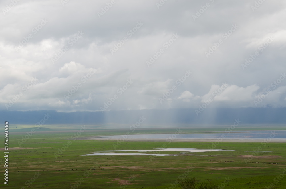 The African landscape. Ngorongoro, Tanzania The African landscape. Ngorongoro, Tanzania