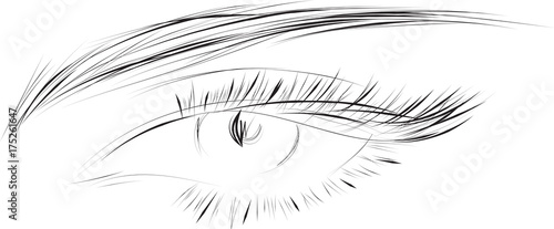 Beautiful eye with long lashes