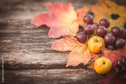 autumn wooden background with red maple leaves, quince, grapes and a bump
