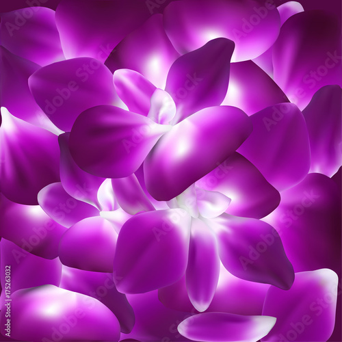 Fototapeta Naklejka Na Ścianę i Meble -  Vector background with beautiful purple gladiolus flowers. Flower petals gradient mesh.