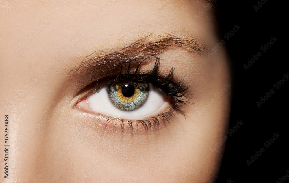 Fototapeta premium A beautiful insightful look woman's eye.