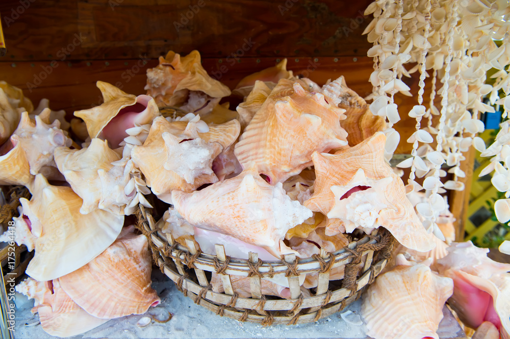 Seashells in basket on wooden background in Key West, USA