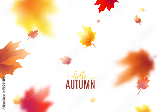 Vector illustration of autumn leaves background