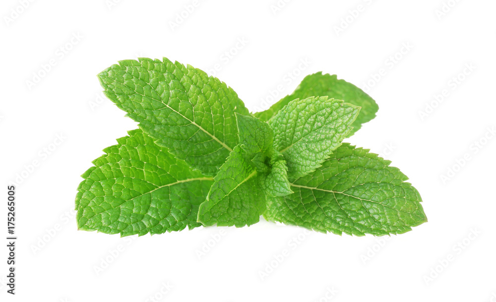 Fresh mint on white background Fresh mint on white background