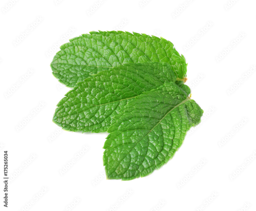 Fresh mint leaves on white background Fresh mint leaves on white background