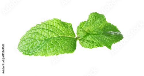 Fresh mint on white background