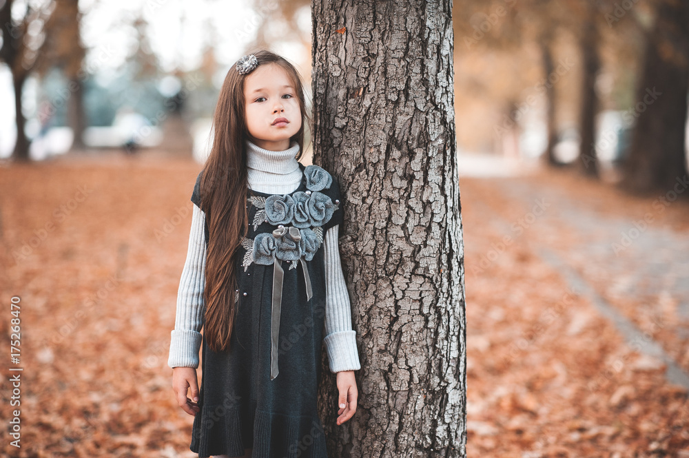 Stylish baby girl 4-5 year old wearing knitted dress standing in park. Looking at camera. Autumn season. Stylish baby girl 4-5 year old wearing knitted dress standing in park. Looking at camera. Autumn season.