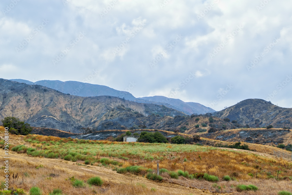 Destruction from Southern California wildfire Destruction from Southern California wildfire