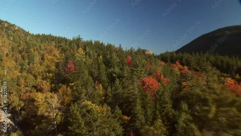 Scenic highway through autumn trees in Jordan Pond, aerial Scenic highway through autumn trees in Jordan Pond, aerial