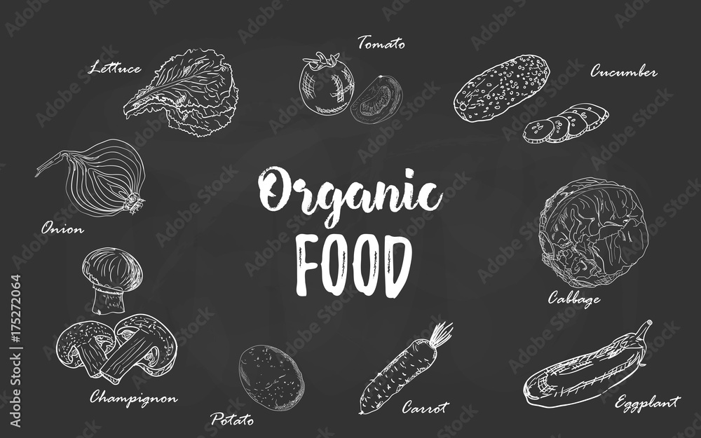 Set of organic food vegetables hand drawn chalk sketch on a blackboard. Vector illustration for retro vintage style menu design, flyer, poster, package, wrapping.