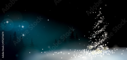 DÉCOR DE NOËL ÉTOILÉ