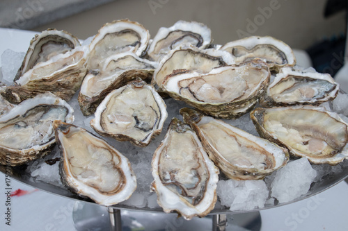 Oysters on a restaurant