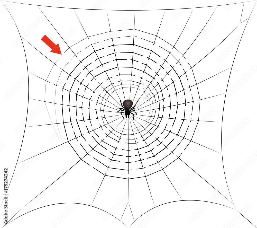Spider web maze - find the way trough the cobweb labyrinth to the center where the spider is waiting for you - halloween fun game. Isolated vector comic illustration on white background.