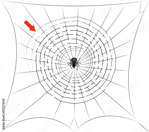 Spider web maze - find the way trough the cobweb labyrinth to the center where the spider is waiting for you - halloween fun game. Isolated vector comic illustration on white background.