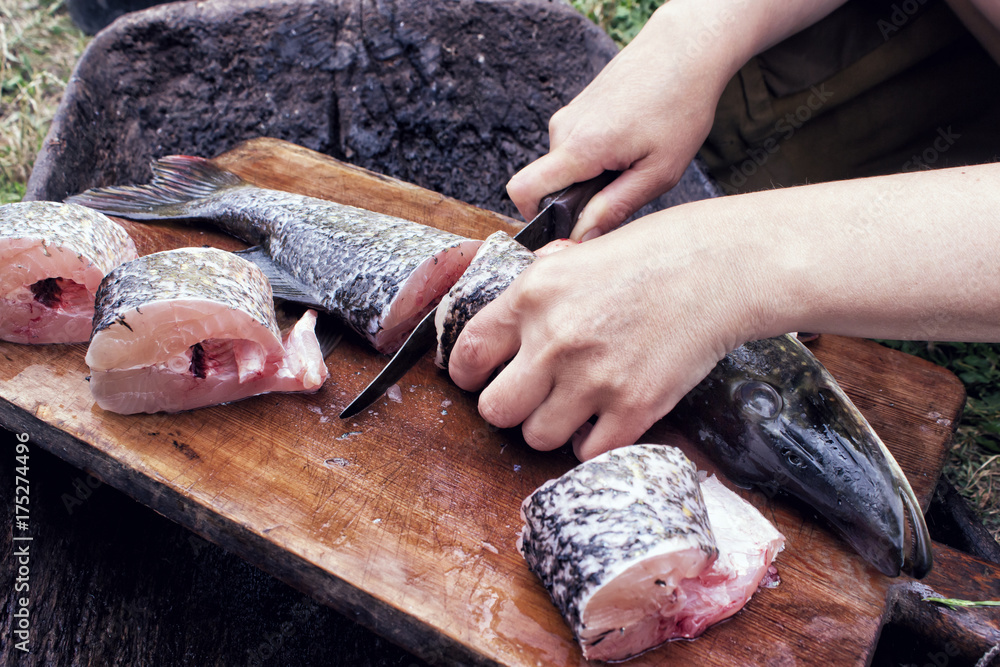 Closeup of human Hands cut with a knife into pieces (portions) fresh fish pike on wooden kitchen Board. Outdoors Closeup of human Hands cut with a knife into pieces (portions) fresh fish pike on wooden kitchen Board. Outdoors