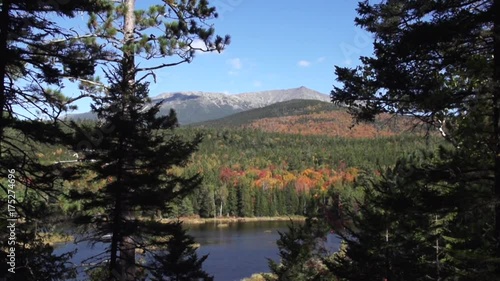 Tilt down, trees near Mount Katahdin blow in breeze