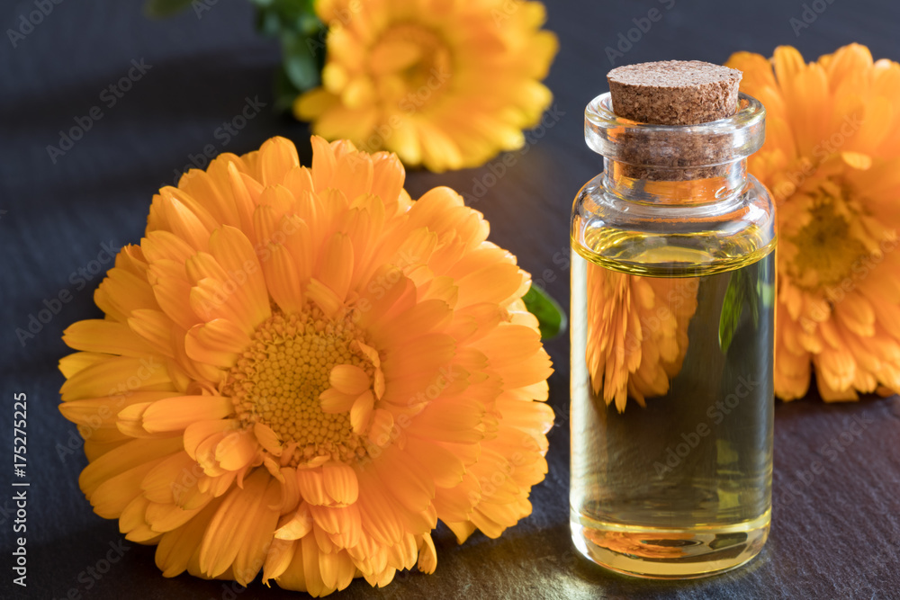 A bottle of calendula essential oil on a dark background A bottle of calendula essential oil on a dark background