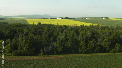 Agriculture fields in Aroostook County, aerial photo