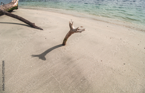 Beautiful White Sand and Clear Sea Water  photo