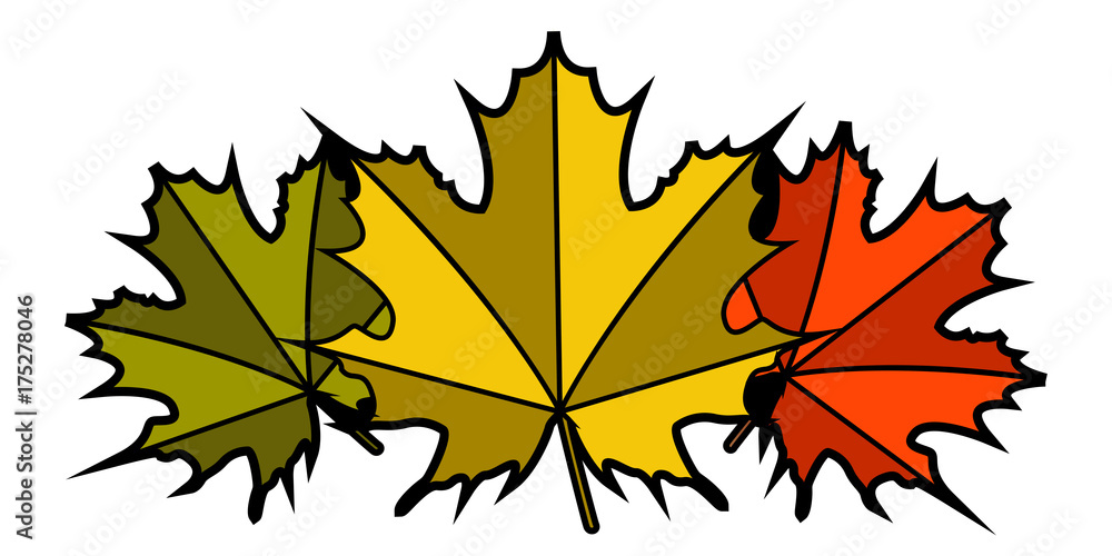 Fototapeta premium Group of fall leaves