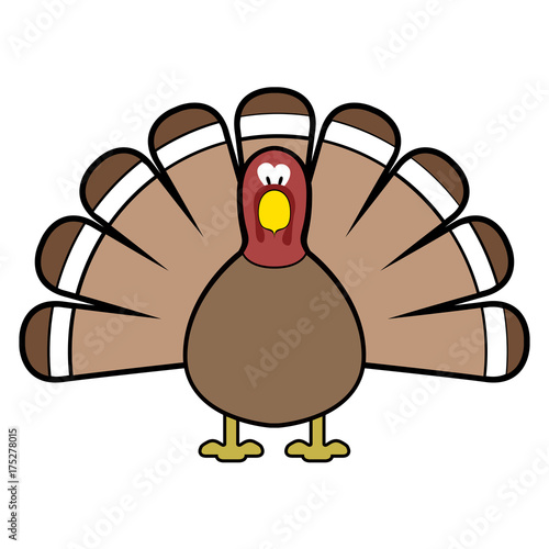 Isolated turkey illustration