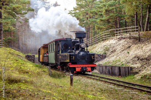 Train on a narrow-gauge railway