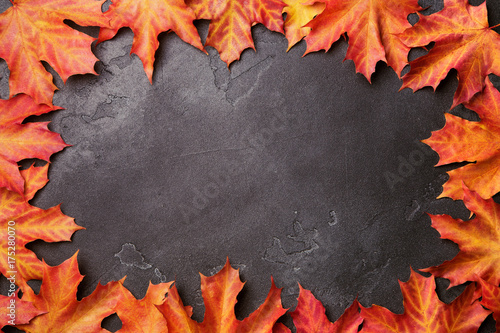 Autumn frame from bright vivid red and yellow maple leaves on black shimmering background. Top view, flat lay. Autumn relax concept