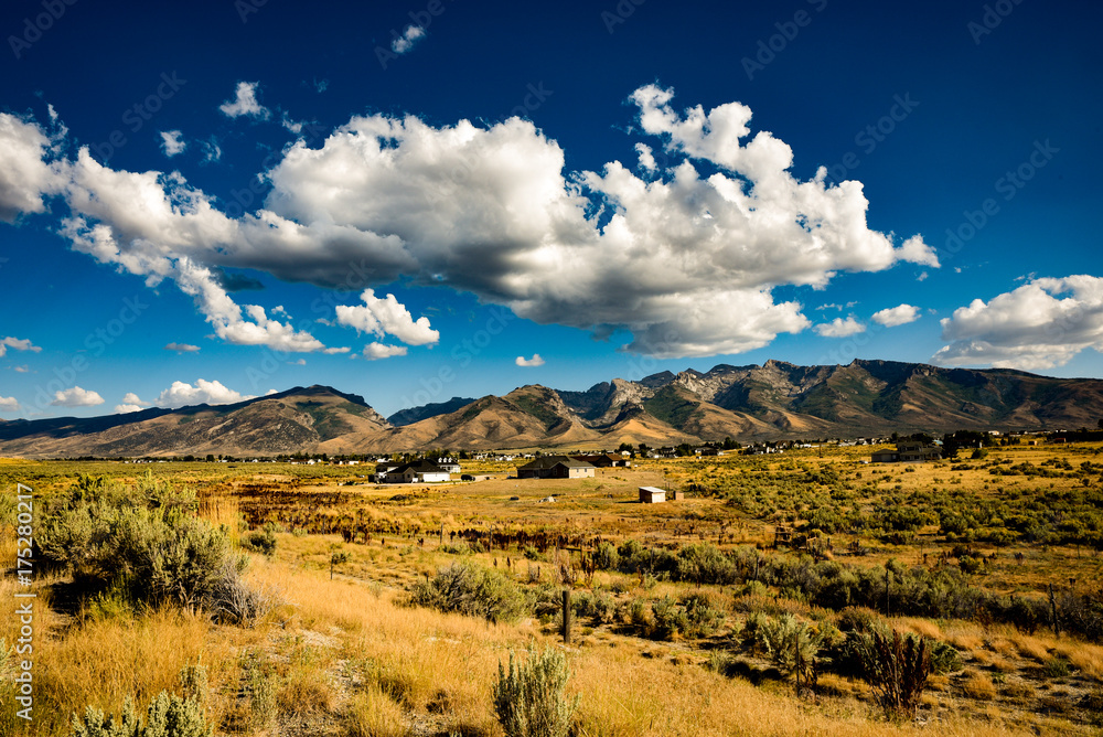 Fototapeta premium Spring Creek Nevada