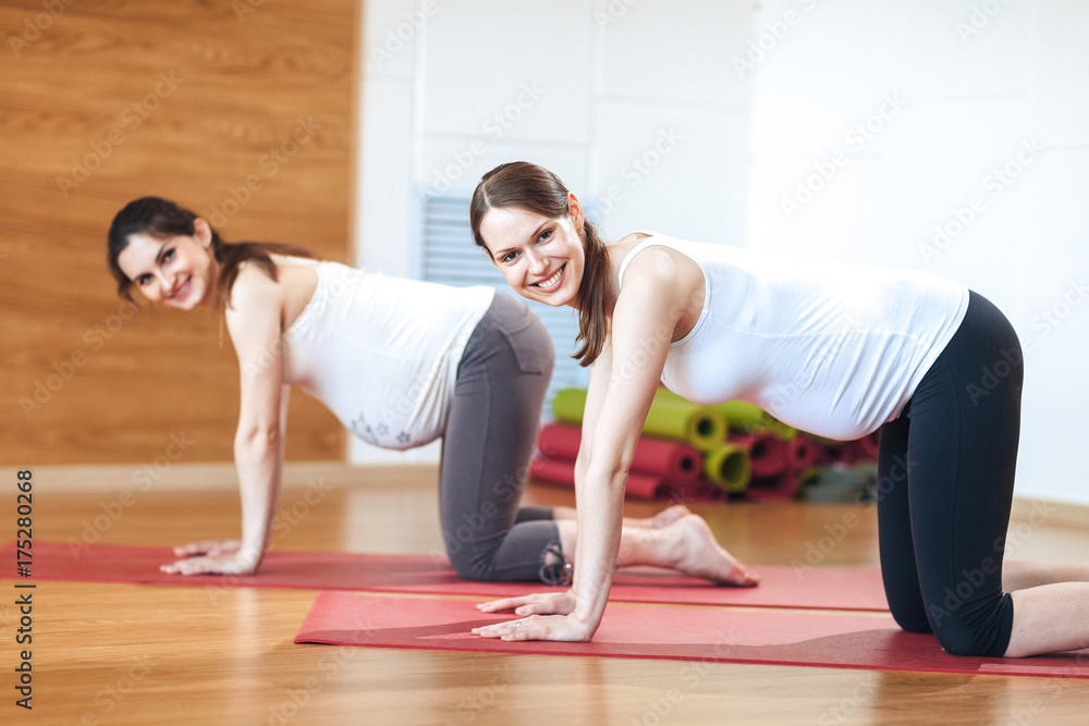 Full length portrait of two young pregnant fitness model in sportswear doing yoga, pilates training, balance exercise bird dog, kneeling opposite arm and leg extension