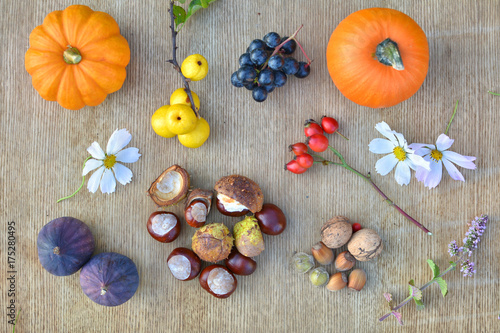 Autumn nature background with fruits and chestnuts