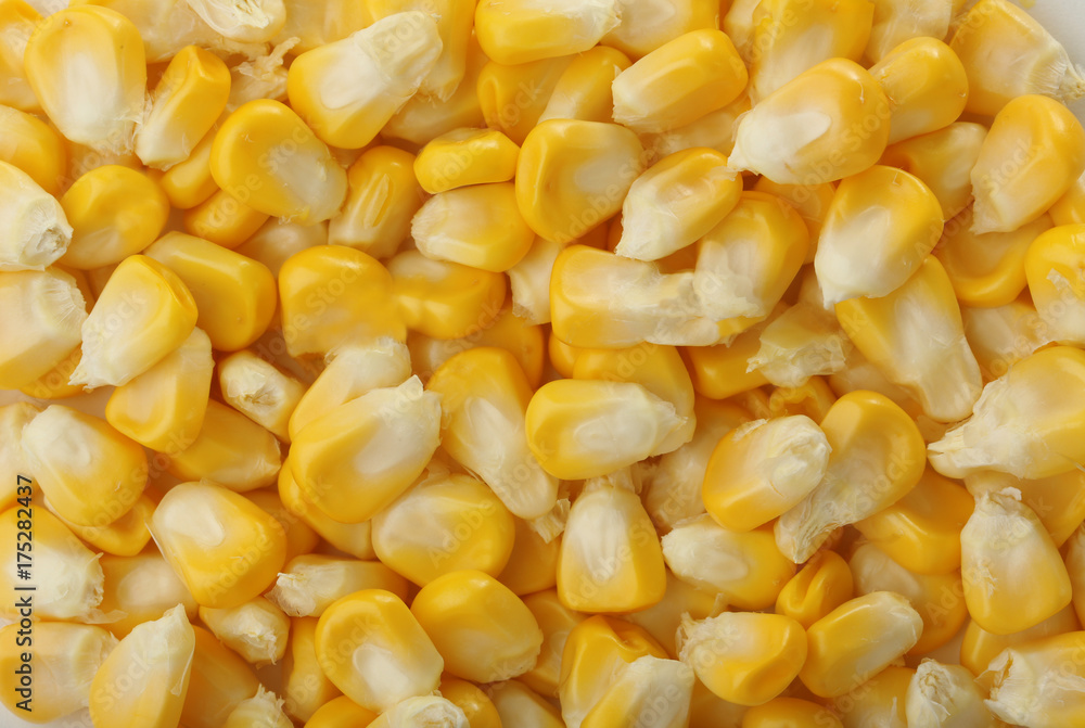 Sweet corn kernels, closeup Sweet corn kernels, closeup