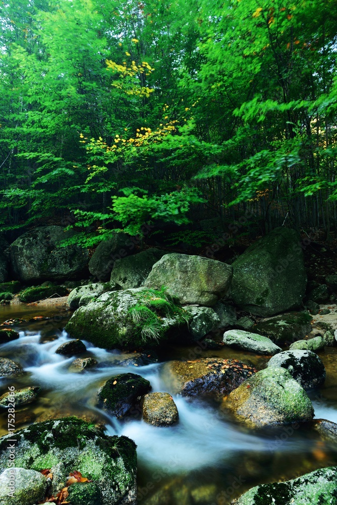 starting at the creek at autumn starting at the creek at autumn