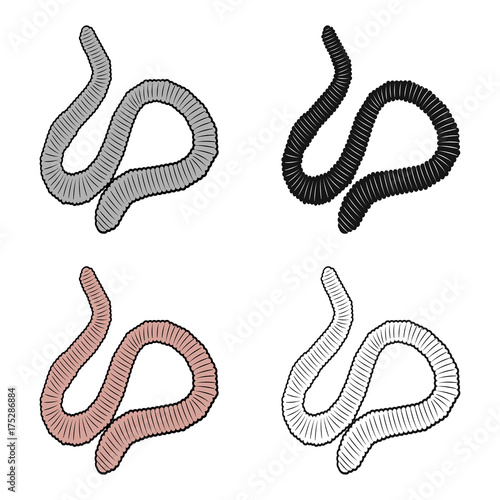 A worm, a boneless animal. Earthworm single icon in cartoon style vector symbol stock isometric illustration web.