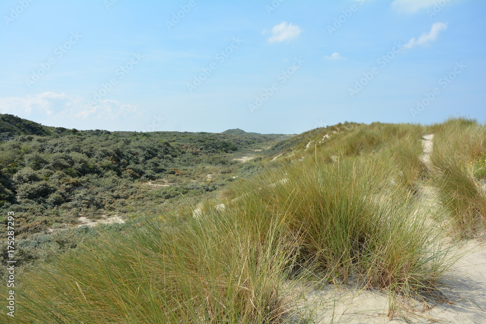 Sanddünen und Landschaft hinter den Dünen an der Nordseeküste von den Niederlanden auf Schouwen-Duiveland
