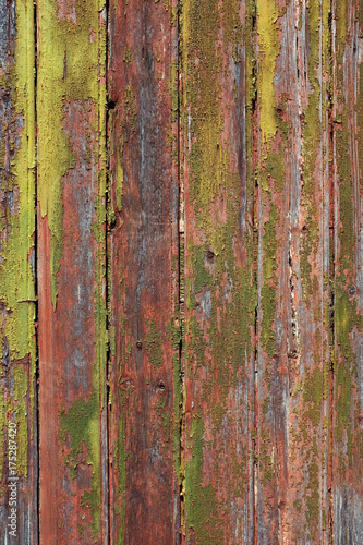 Old Door Detail © Carlos Caetano
