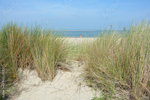 Blick durch Sanddünen zum Meer an der Nordseeküste in den Niederlande © Claudia Evans 