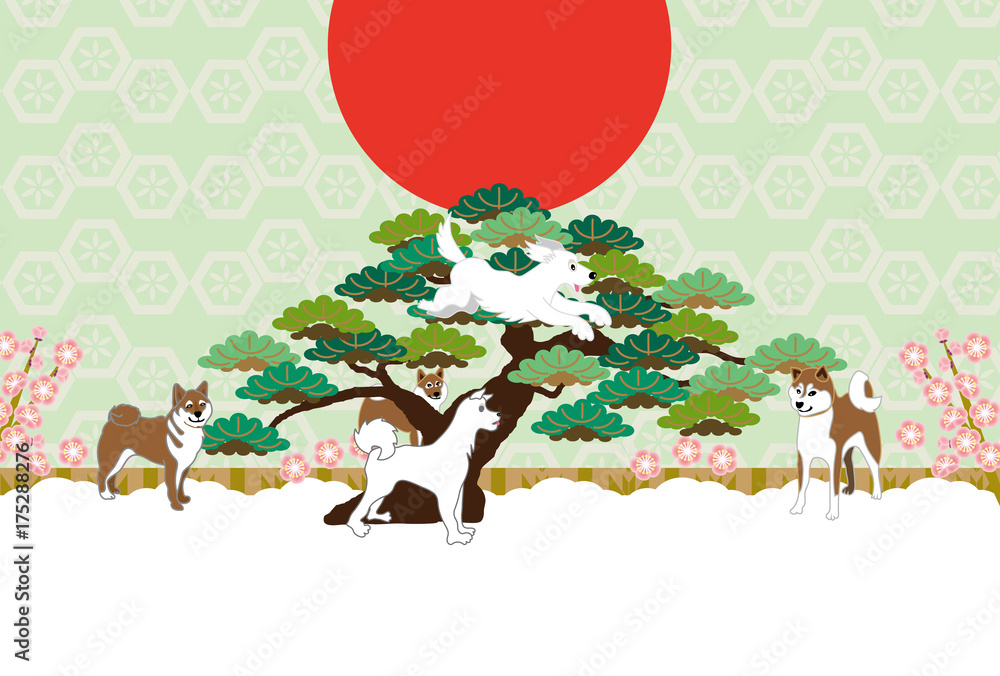 柴犬と松の木のイラストの和風ポストカード