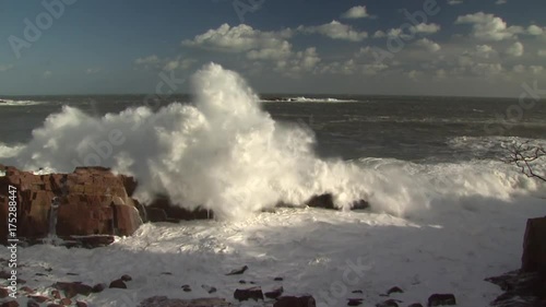 Tide rolls in on rocky shoreline in Maine, Acadia National Park