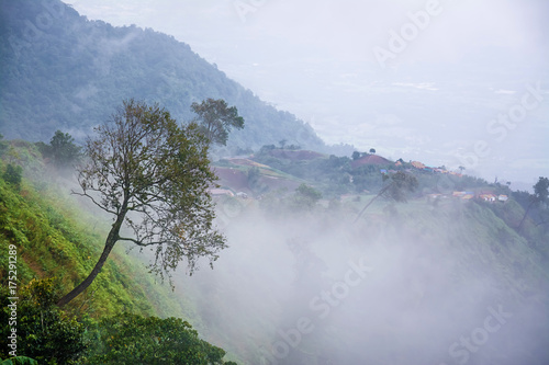 Landscape of   fog  and Mountain  in Thailand