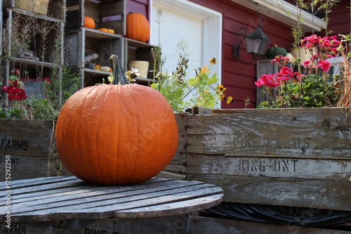 Pumpkin on a table