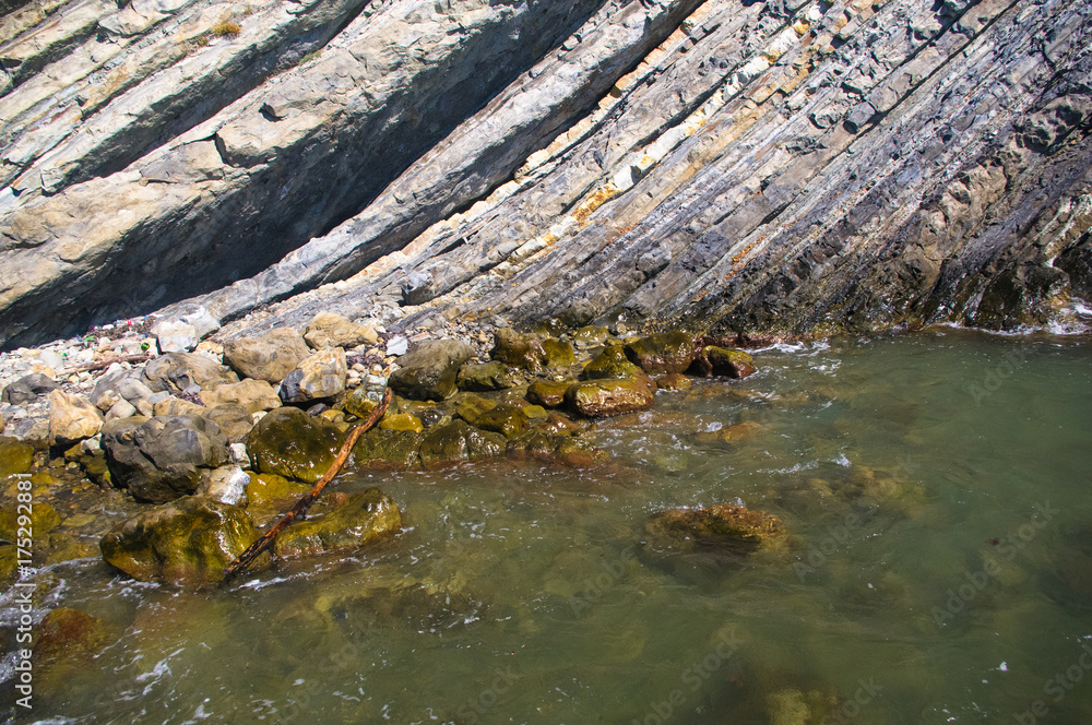 Fototapeta premium rocky sea shore with with seaweed, waves with foam